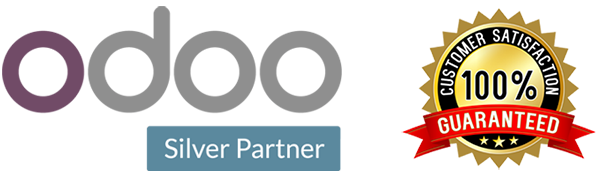 Odoo Partner developer in Nigeria